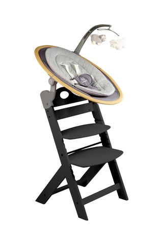 Chaise haute Family Pro avec harnais et adaptateur - Jusqu'à  75 kg