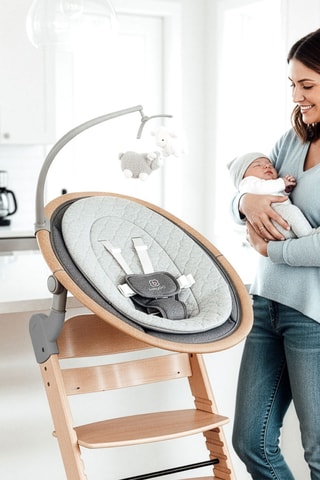 Chaise haute Family Pro avec harnais et adaptateur - Jusqu'à  75 kg
