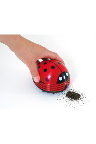 Aspirateur de table coccinelle Rouge et noir