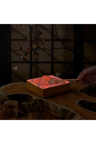 Jardin zen avec cristaux de sel rose - 14,6 x 4,2 x 14,6 cm