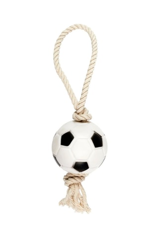 2 mini-balles pour chien - Modèle aléatoire