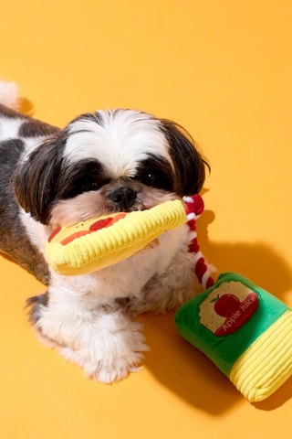 Coffret jouets pour chien - 2 pièces