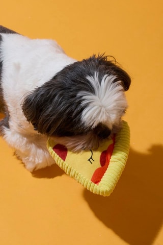 Coffret jouets pour chien - 2 pièces