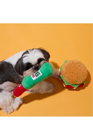 Coffret jouets pour chien - 2 pièces