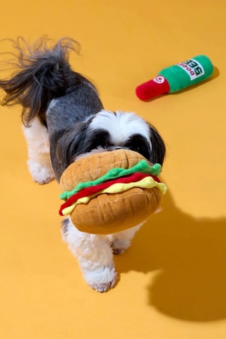 Coffret jouets pour chien - 2 pièces