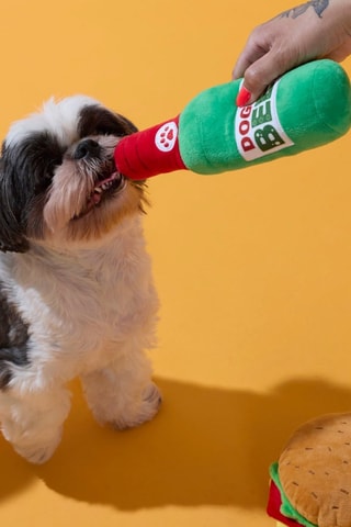 Coffret jouets pour chien - 2 pièces