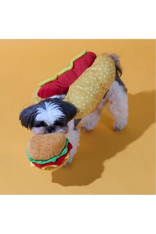 Déguisement pour chien - Jaune et rouge