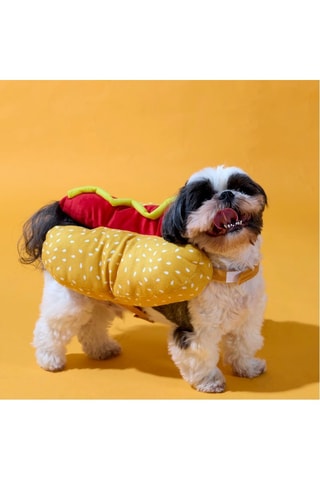 Déguisement pour chien - Jaune et rouge