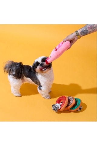 Coffret jouets pour chien - 2 pièces