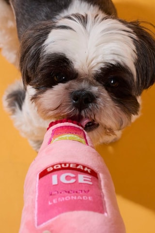 Coffret jouets pour chien - 2 pièces