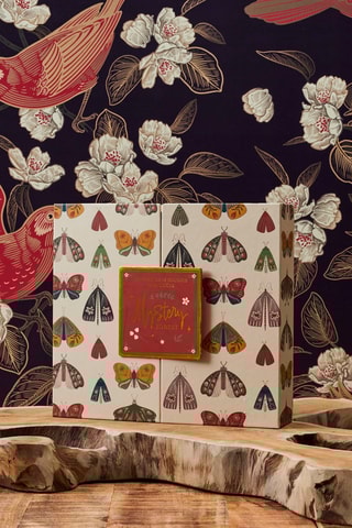 Coffret de 12 bougies Mystery Forest 