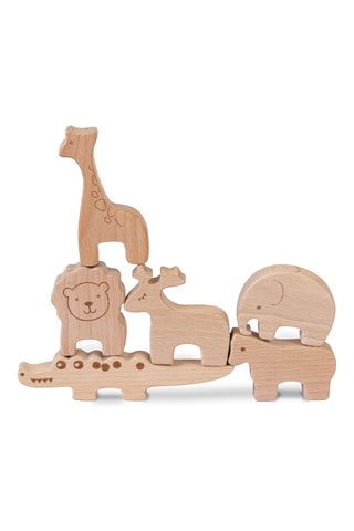 6 animais de faia - 3 anos