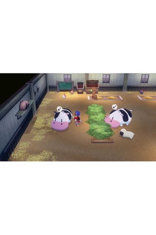 Story of Seasons Grand Bazaar - Nintendo Switch 2