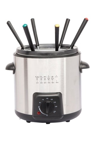 Friteuse électrique 2-en-1 en acier inoxydable