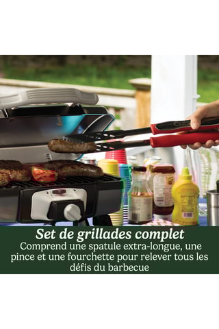 4 Barbecue-accessoires - Zilverkleurig en Rood