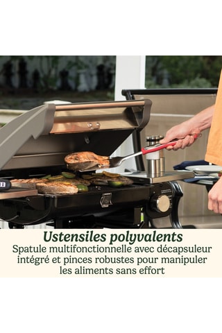 4 Barbecue-accessoires - Zilverkleurig en Zwart