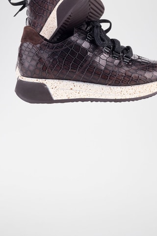 Sneakers en cuir Droma - Marron