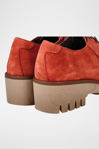 Derbys en nubuck - Marron