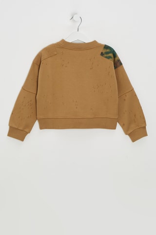 Sweater - Lichtbruin