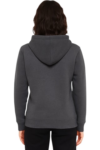 Sweat à capuche  - Gris