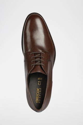 Derbys en cuir Hampstead - Marron
