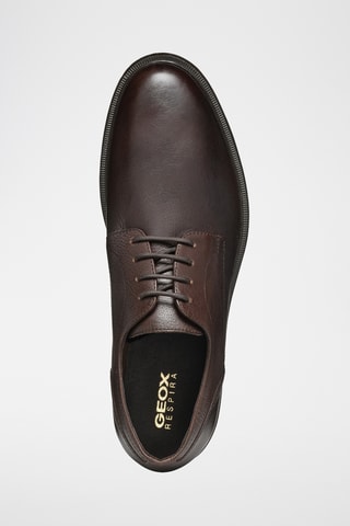 Derbys en cuir Terence - Marron