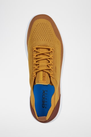 Tennis Spherica - Moutarde