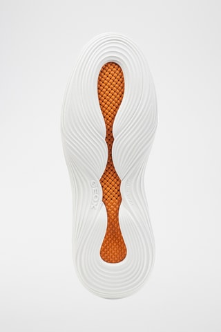 Baskets en cuir Fluctis - Beige