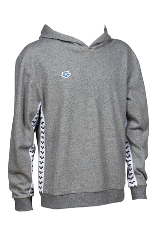 Sweat à capuche Gris