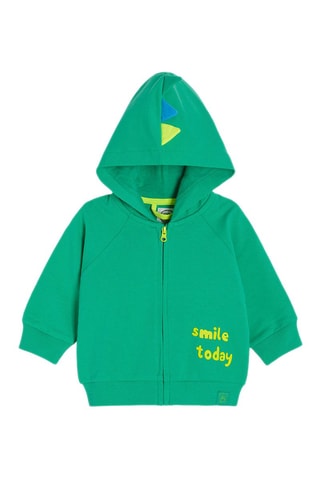 Sweater met Capuchon - Groen