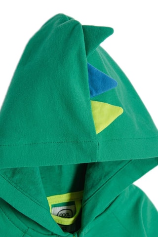 Sweater met Capuchon - Groen