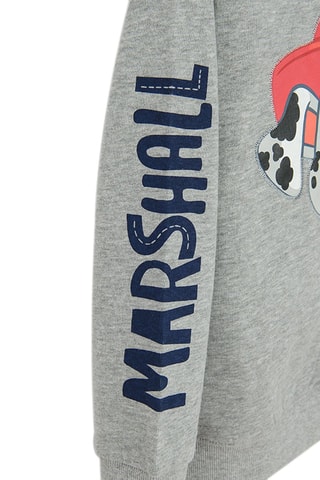 Sweater Chase en Marcus Paw Patrol - Gemêleerd Lichtgrijs