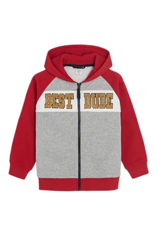 Sweater met Capuchon - Multicolor