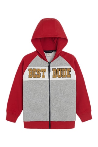 Sweater met Capuchon - Multicolor