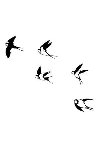 Décoration murale 5 oiseaux - 27 x 26 cm - 29 x 26,5 cm - 31 x 19 cm - 24 x 32 cm - 29 x 31,5 cm - Noir