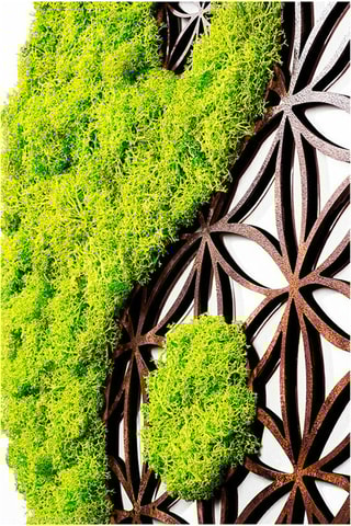 Décoration murale - 44 x 44 cm - Vert et naturel