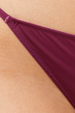 String Orphee - Violet