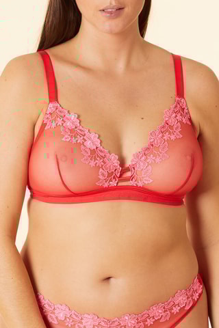 Soutien-gorge Curieuse  Multicolore