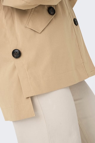 Veste à capuche - Beige