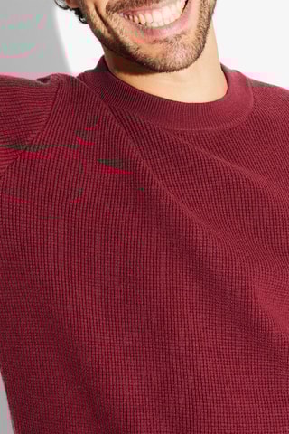 Trui - Bordeauxrood