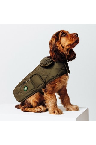 Manteau pour chien - Kaki