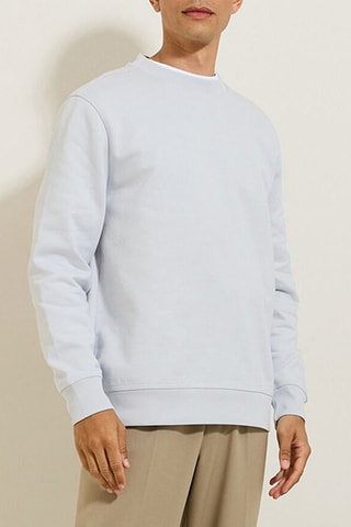 Sweat en coton biologique - Gris clair