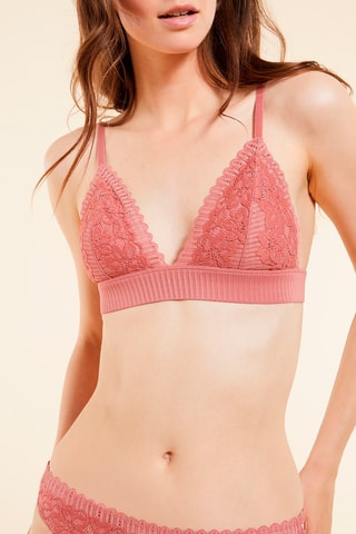 Beha Young Terracotta