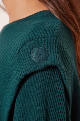 Trui Amythis - Groen