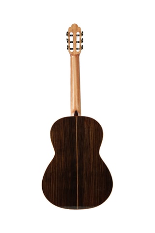 Guitare Acoustique Martinez Torres Rosewood 4/4 + Housse - Naturel