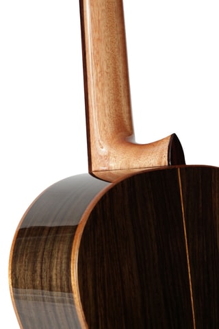 Guitare Acoustique Martinez Torres Rosewood 4/4 + Housse - Naturel