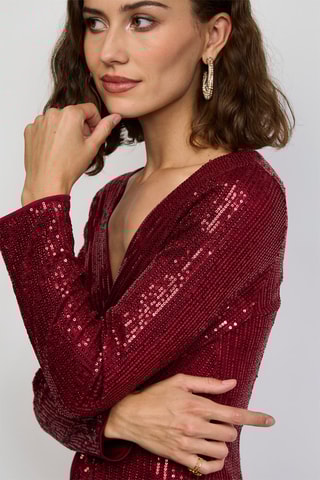 Halflange Jurk - Zilverkleurig - Rood