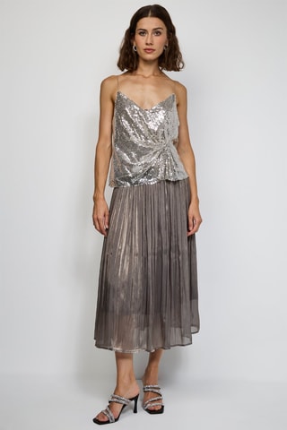 Plissérok - Nachtblauw - Bruin