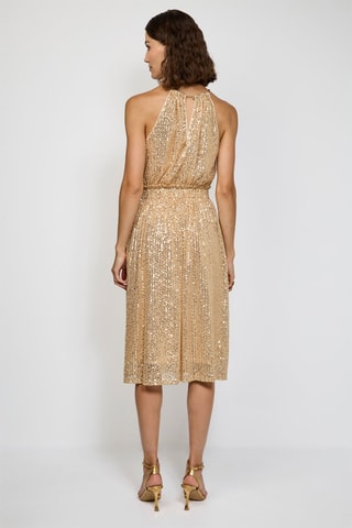 Lange Jurk - Zilverkleurig - Goudkleurig