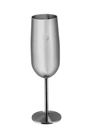 2 flûtes à champagne en acier inoxydable - 2 x 26 cl